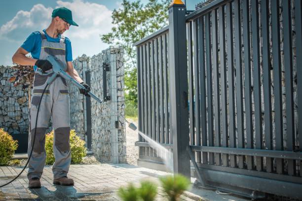 Best Roof Cleaning and Mildew Removal in Falfurrias, TX