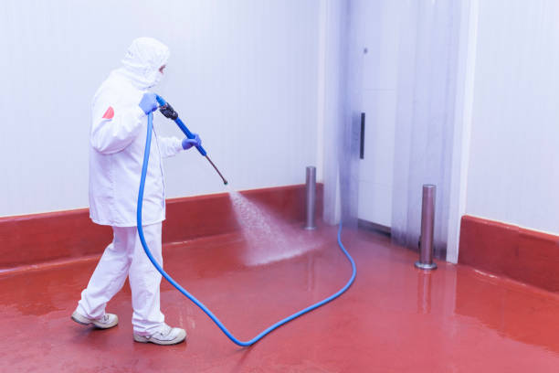 Best Commercial Pressure Washing in Falfurrias, TX