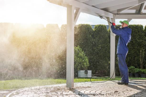 Best Driveway Cleaning and Restoration in Falfurrias, TX