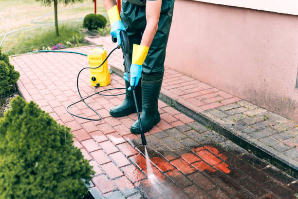 Best Vinyl Siding Pressure Washing in Falfurrias, TX
